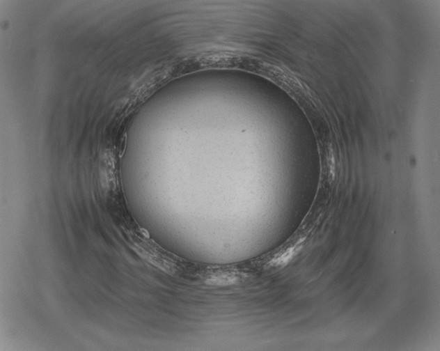 X0000080160964200612221222