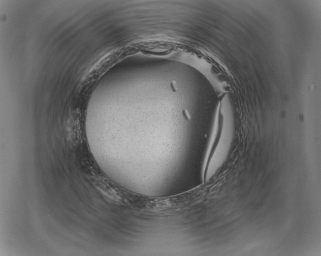 X0000080160968200612221222