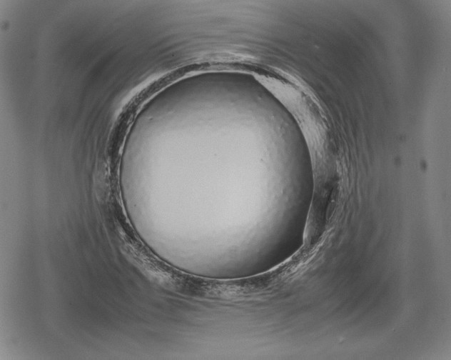 X0000080160971200612221222