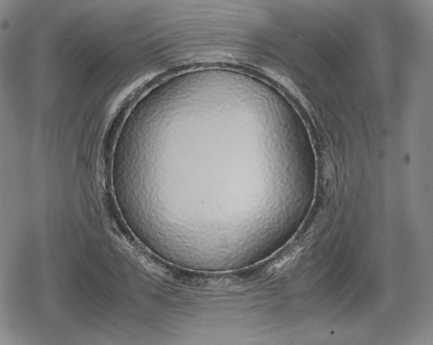X0000080160979200612221222
