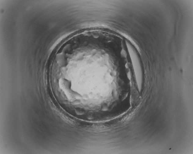 X0000080160983200612221221