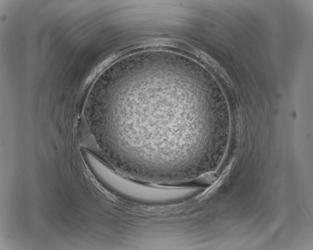 X0000080160985200612221221