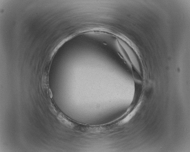 X0000080161001200612221221