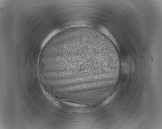 X0000080161002200612221221