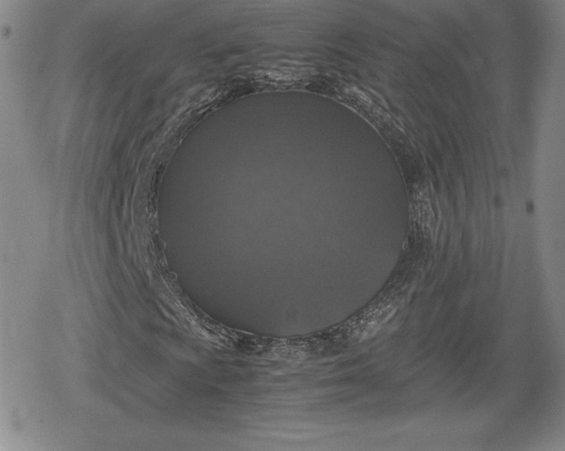 X0000080161009200612221220