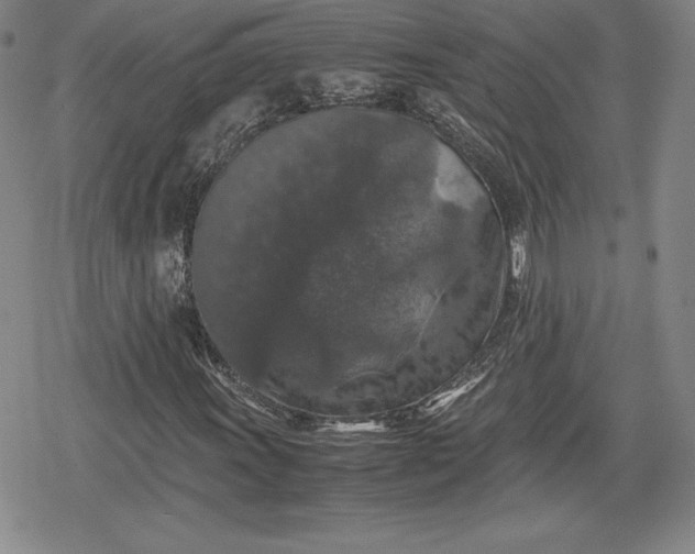 X0000080161011200612221220