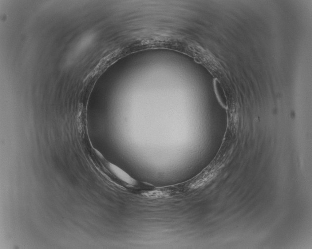 X0000080161012200612221220