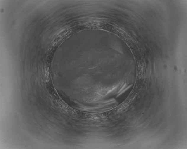 X0000080161013200612221220