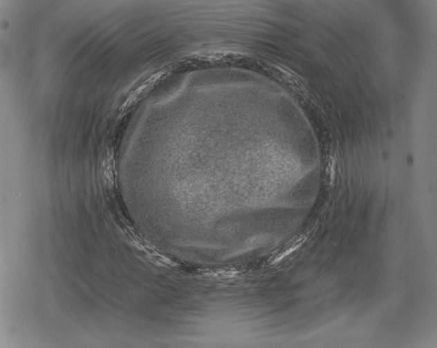 X0000080161014200612221220