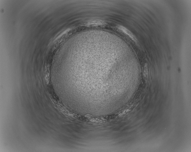 X0000080161015200612221220