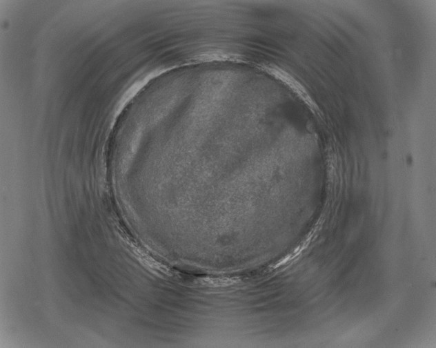 X0000080161023200612221221