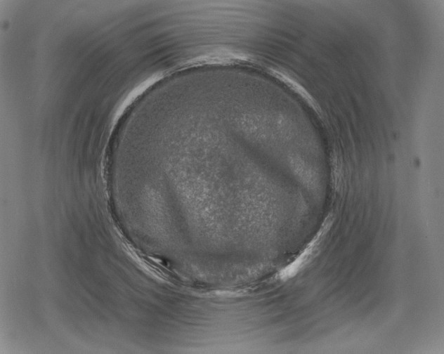 X0000080161026200612221221