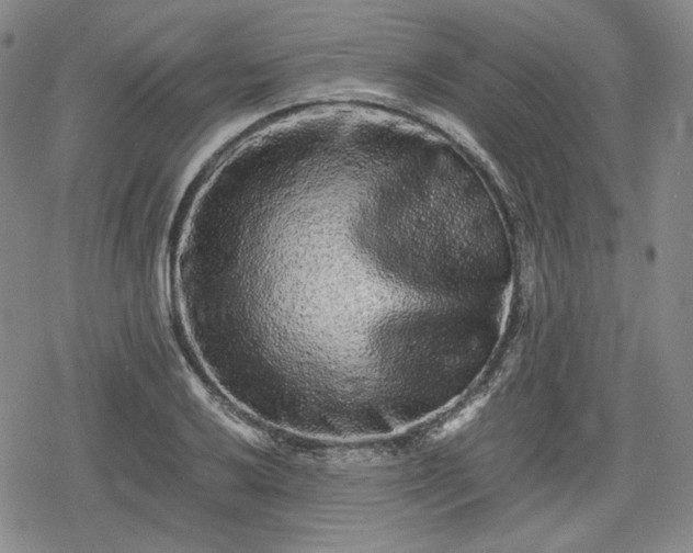 X0000080161032200612221221