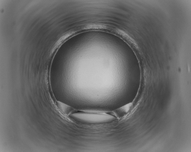 X0000080161033200612221221