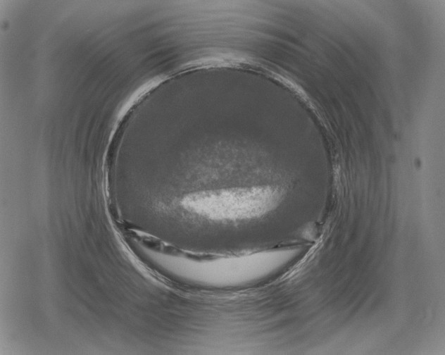X0000080161034200612221221