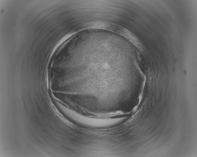 X0000080161036200612221221