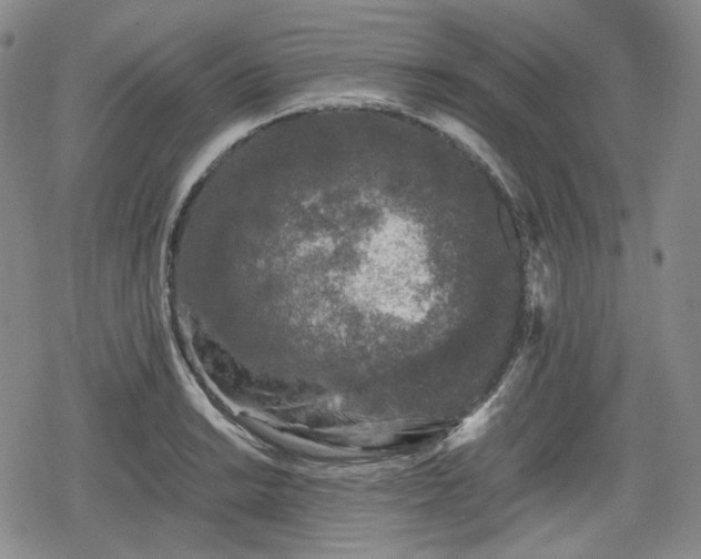 X0000080161038200612221221