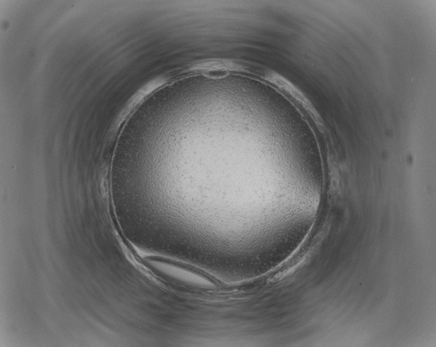 X0000080161049200612221221