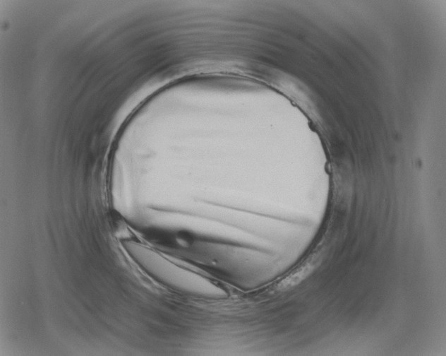 X0000080161052200612221221