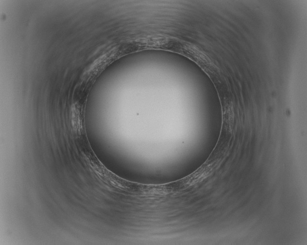 X0000080161058200612221220