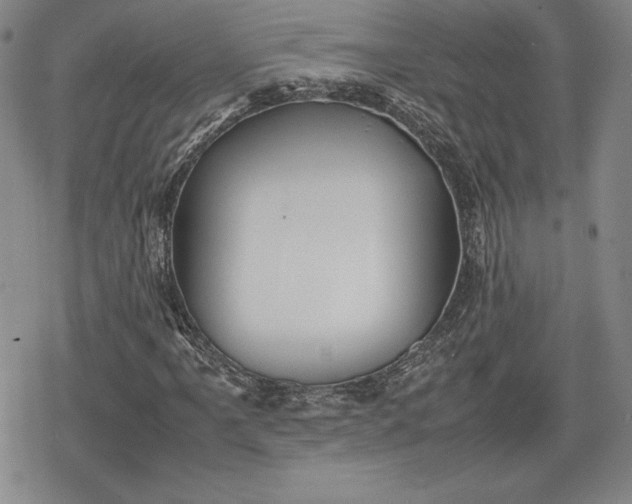 X0000080161061200612221220