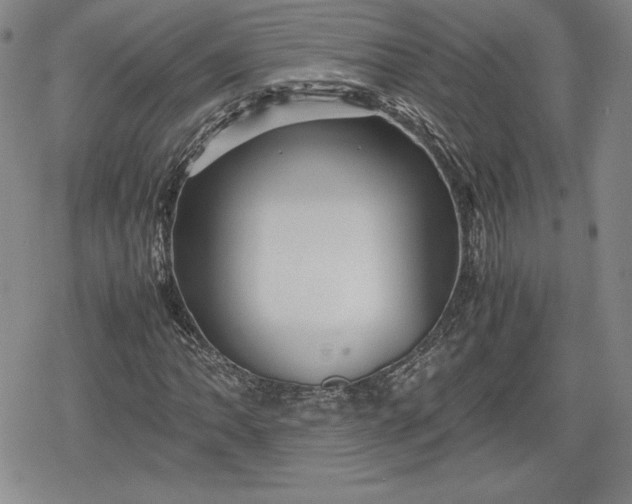 X0000080161062200612221220