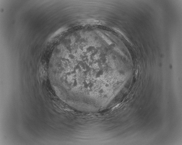 X0000080161063200612221220