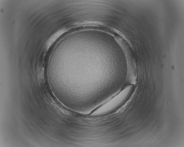 X0000080161066200612221220