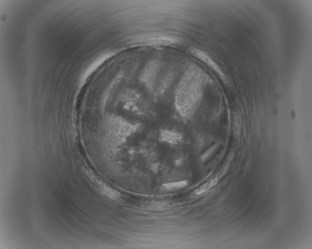 X0000080161071200612221220
