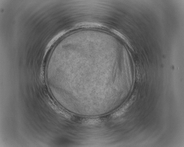 X0000080161074200612221220