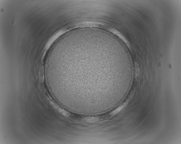X0000080161075200612221220