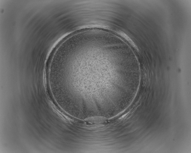 X0000080161076200612221220