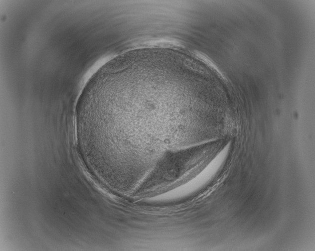 X0000080161079200612221220