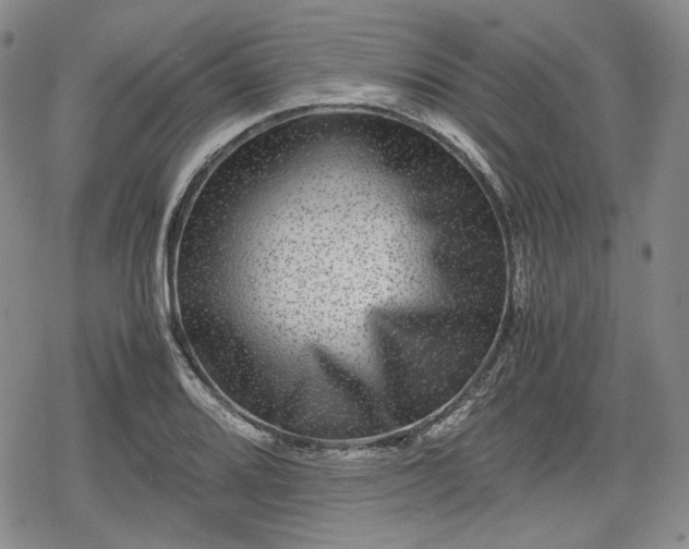 X0000080161080200612221220