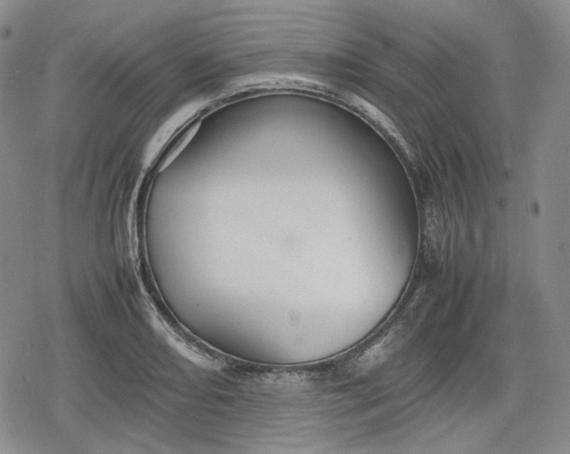 X0000080161082200612221220