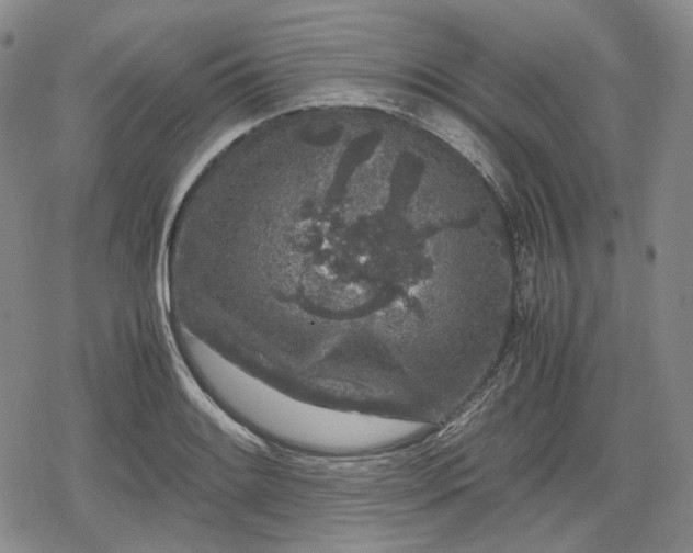X0000080161084200612221220