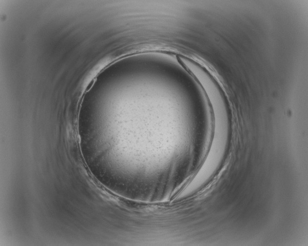 X0000080161097200612221220