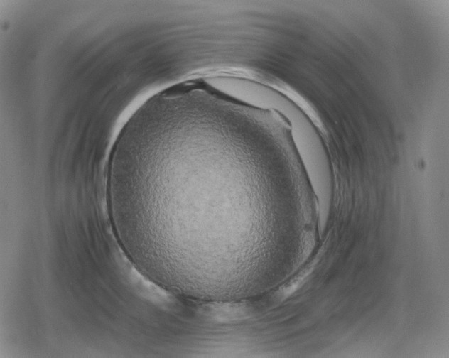 X0000080161102200612221220