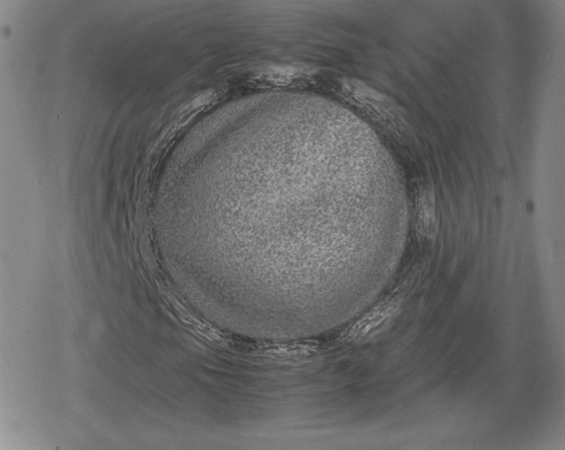 X0000080161105200612221219