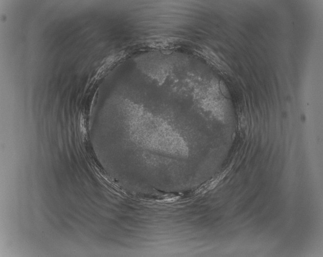 X0000080161106200612221219