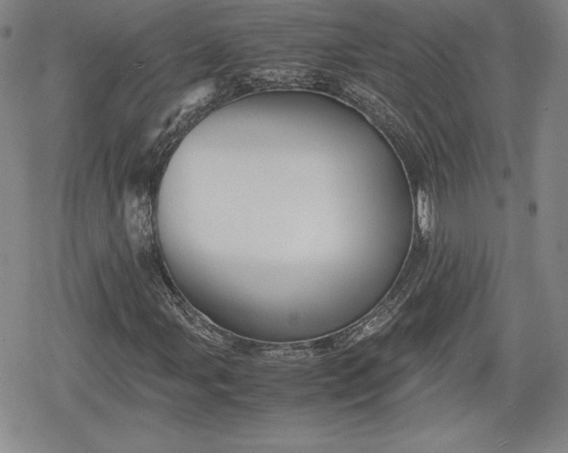 X0000080161107200612221219