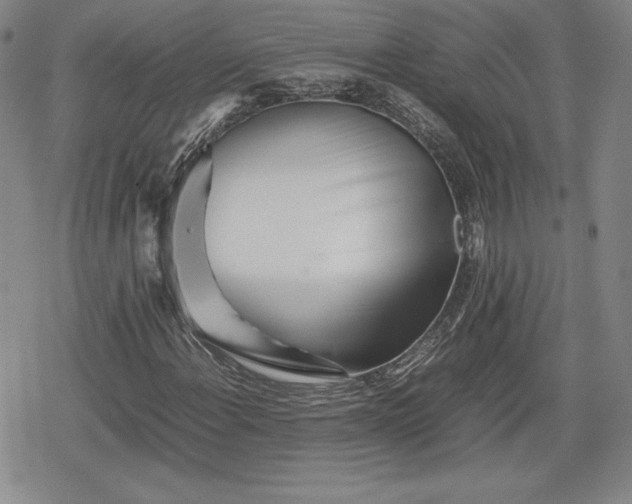 X0000080161108200612221219