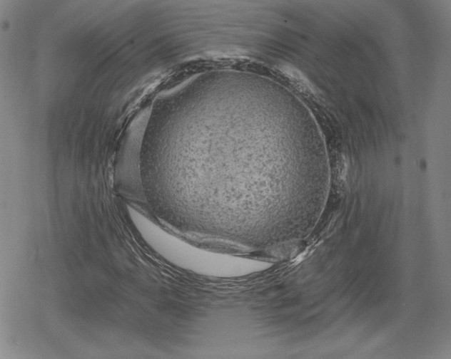 X0000080161110200612221219