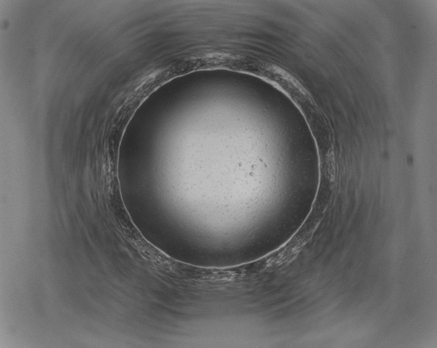 X0000080161111200612221219