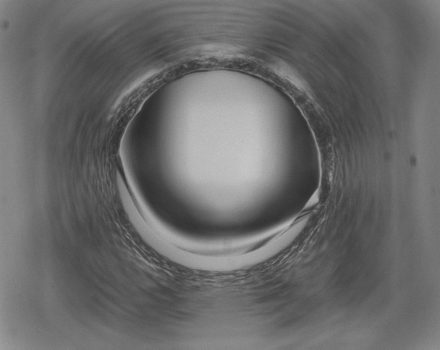 X0000080161112200612221219