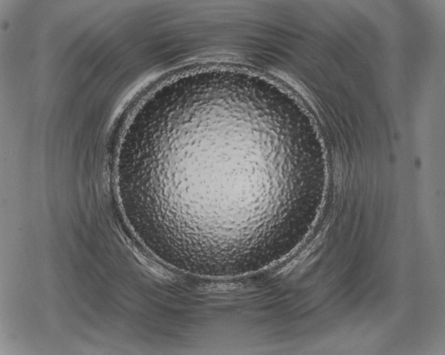 X0000080161115200612221219