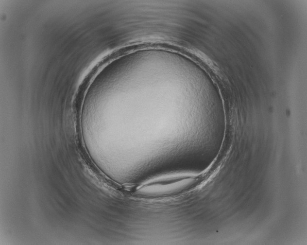 X0000080161118200612221219