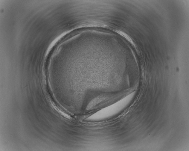 X0000080161120200612221219