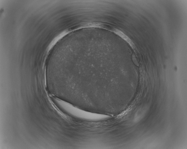 X0000080161127200612221219