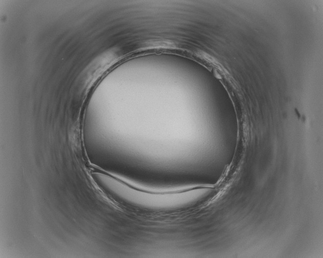 X0000080161129200612221219